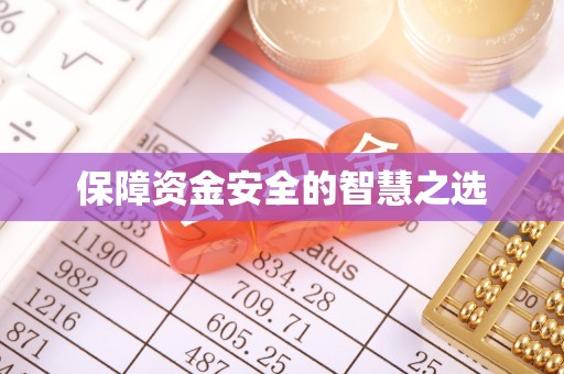 丹棱保障资金安全的智慧之选